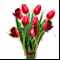 Букет тюльпанов: 9